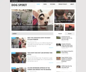 Dogspirit.co(Dog Spirit) Screenshot