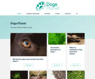 Dogsplanet.org(Best website about dogs) Screenshot