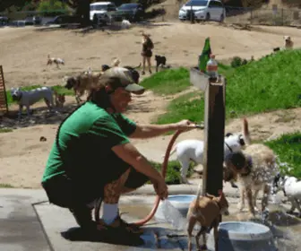 Dogsrulela.com(Dogs Rule Los Angeles) Screenshot