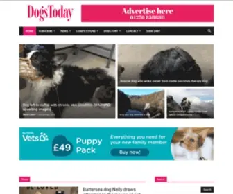 Dogstodaymagazine.co.uk(The Leading UK Dog Magazine) Screenshot