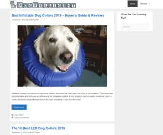 Dogtelligent.com(Dogdog Bha) Screenshot