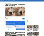 Dogtime.com.tw Screenshot
