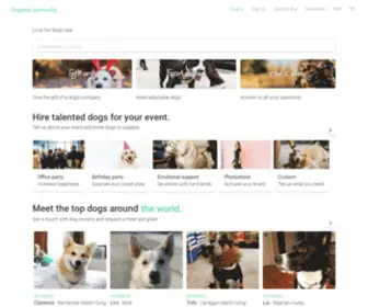 Dogtimecommunity.com(Dogtimecommunity) Screenshot