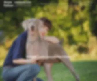 Dogtrainingakron.com(Dogtrainingakron) Screenshot