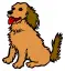 Dogtrainingcollarreviews.com Favicon