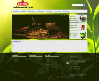 Doguakdenizcay.com(DOĞU) Screenshot