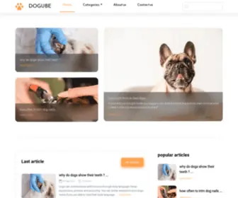 Dogube.com(Dogube) Screenshot