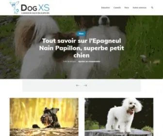 DogXs.fr(Dog XS) Screenshot