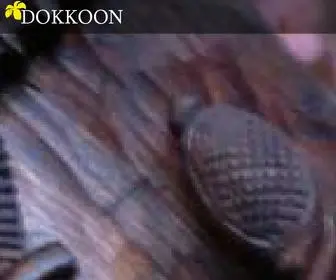 Dokkoonshop.com(Dokkoon Shop) Screenshot