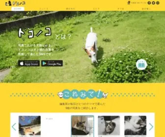 Dokonoko.jp(「ドコノコ」は、犬や猫と人が、親しくなるため) Screenshot