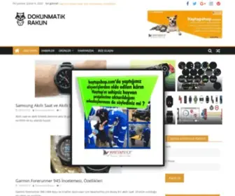 Dokunmatikrakun.com(Dokunmatik Rakun) Screenshot