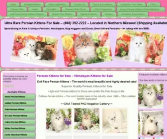 Dollfacepersiankittens.com(Persian Kittens For Sale) Screenshot