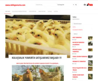 Dolluyumurta.com(KULUÇKALIK) Screenshot