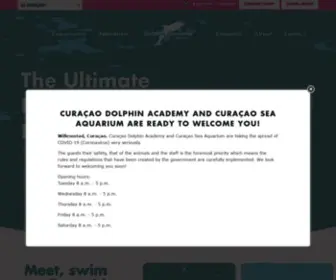 Dolphin-Academy.com(Dolphin Academy) Screenshot