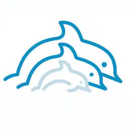 Dolphin-Solution.com Favicon