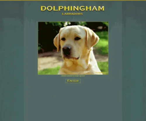 Dolphingham.com(Dolphingham Labradors) Screenshot