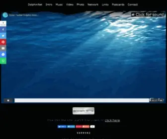 Dolphinnet.org(Original photography) Screenshot