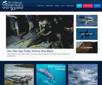 Dolphinproject.com(Dolphin Project) Screenshot