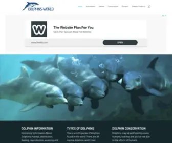 Dolphins-World.com(Dolphin Facts and Information) Screenshot