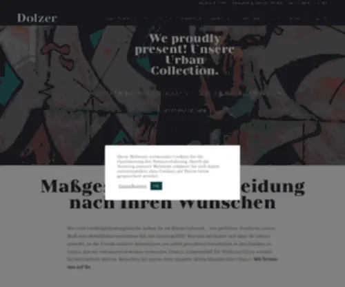 Dolzer.com(Modeauswahl) Screenshot