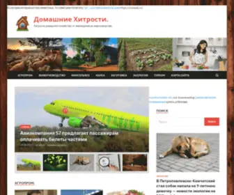 Dom-Hitrost.ru(Главная страница) Screenshot