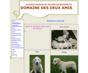 Domainedesdeuxamis.com(Domaine des deux amis) Screenshot