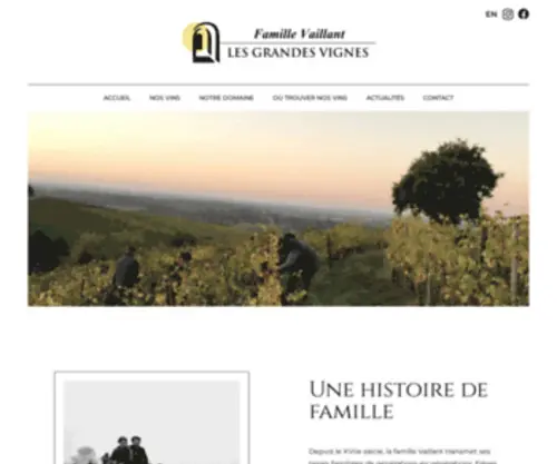 Domainelesgrandesvignes.com(Découvrez les gammes de vins bio du Domaine Les Grandes Vignes à Thouarcé (49)) Screenshot