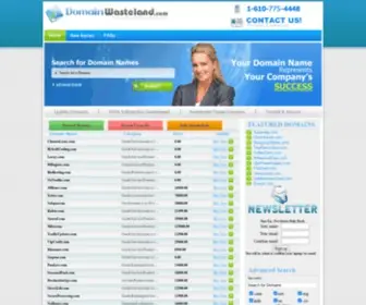 Domainwasteland.com(Investment domains at wholesale prices) Screenshot