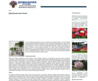 Domashnee-Rastenie.ru(Домашнее растение) Screenshot