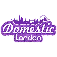 Domesticcleaninglondon.org Favicon