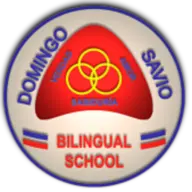 Domingosaviobilingualschool.edu.co Logo