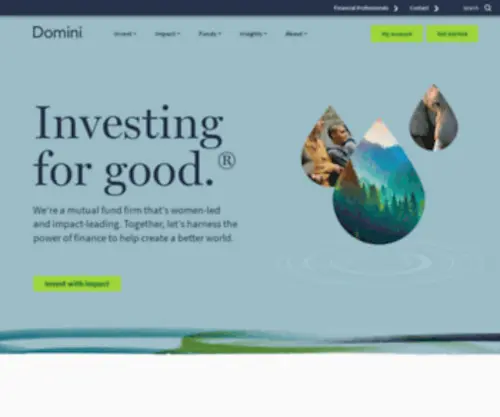 Domini.com(Domini Social Investments) Screenshot