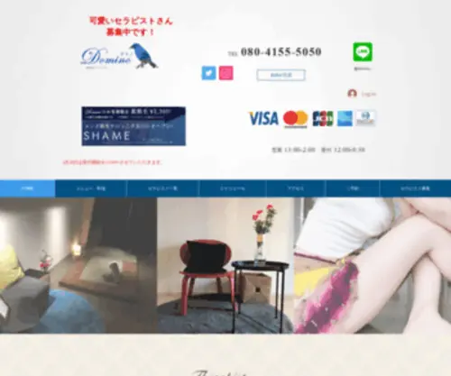 Domino5.com(目黒線奥沢駅、東急東横線・大井町線 自由が丘) Screenshot