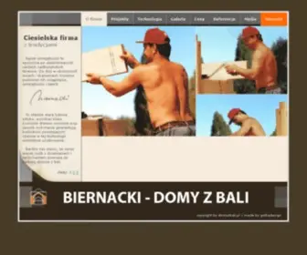 Domyzbali.pl(Stanisław Biernacki) Screenshot