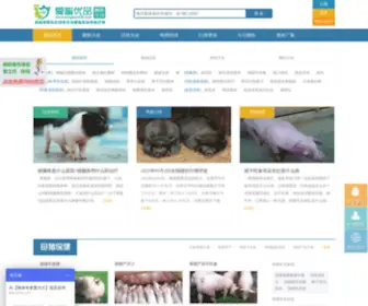 Dongbao120.com(爱畜优品兽医在线) Screenshot