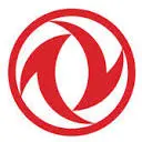 Dongfeng.tn Favicon