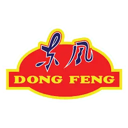 Dongfengindonesia.com Favicon