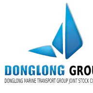 Donglonggroup.com Logo