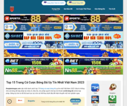 Dongtamlongan.com(Dongtamlongan) Screenshot