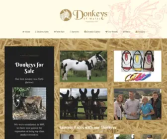 Donkeysofwales.com(Worldwide Donkeys for Sale) Screenshot