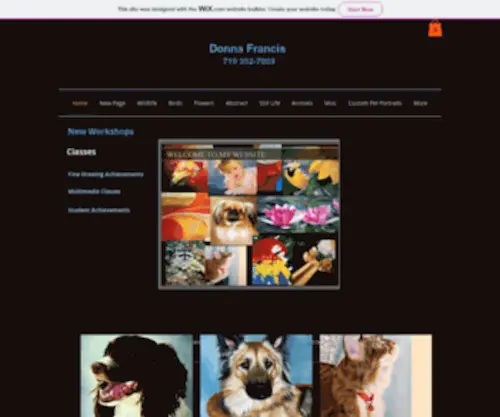 Donnafrancis.com(Artist) Screenshot