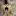 Dontbestoopid.com Favicon