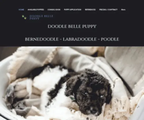 Doodlebellepuppy.com(Puppy culture) Screenshot