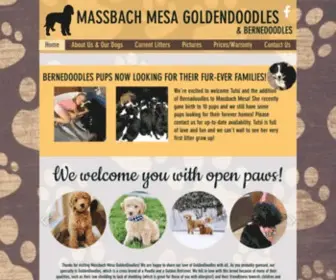 Doodlesbymassbach.com(Massbach Mesa Goldendoodles & Bernedoodles) Screenshot