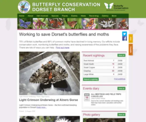 Dorsetbutterflies.com(Dorset Butterflies) Screenshot