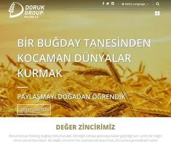 Dorukgroup.com.tr(Doruk Group Holding) Screenshot