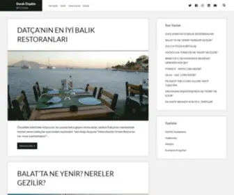 Dorukozsahin.com(Doruk) Screenshot