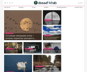 Dosaaf-Khab.ru(Общеобразовательный журнал) Screenshot