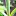 Dotchuoinon.com Favicon
