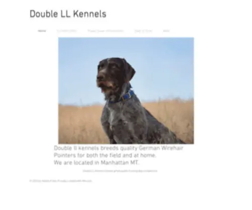 Doublellkennels.com(German wirehaired pointers) Screenshot